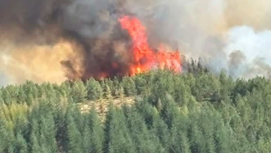 Le feu a pris rapidement de l’ampleur.