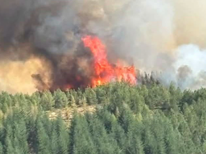 Encore deux incendies virulents avant les orages et la pluie, plus de 150 hectares brûlés, les pompiers emploient les grands moyens en Lozère