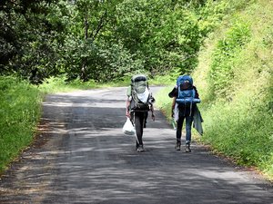 Pour mieux préparer son itinéraire vers Saint-Jacques-de-Compostelle, voici un compagnon numérique sur le GR65 créé depuis Coubisou
