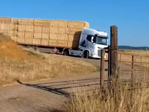 Les riches agriculteurs suisses viennent se servir en France : la sécheresse provoque-t-elle un trafic illégal de fourrage ?