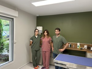 "On a créé tout ça nous-mêmes" : deux jeunes Aveyronnais ouvrent leur clinique vétérinaire à Rodez