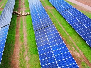 Le premier "pays" au monde à fonctionner entièrement à l'énergie solaire ? Le Vatican lance la construction d'un parc agrivoltaïque de 200 hectares