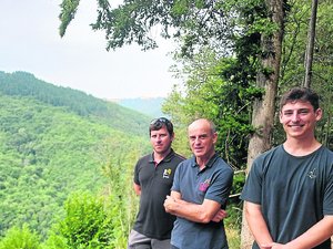 Les forêts et leurs secrets (6/7) : un homme au milieu des arbres