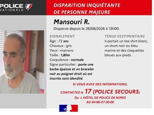 Disparition inquiétante d'un septuagénaire : porteur d'une barbe et d'un bracelet avec son identité, il est porté disparu depuis trois jours, un appel à témoins lancé