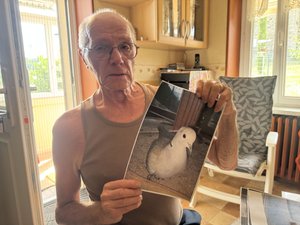 "C'était une relation fusionnelle entre nous deux" : en Aveyron, un octogénaire veut rendre justice à "Twitty" sa tourterelle
