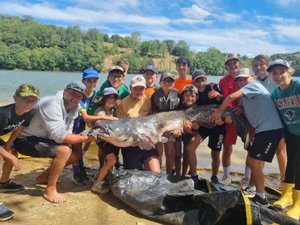Dans cette commune de l'Aveyron, les jeunes de l'association Familles rurales battent le record de la pêche au gros avec un silure de 2,12 m !