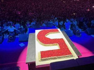 Rose Festival : le "5 à la framboise", un énorme gâteau d'anniversaire pour Bigflo & Oli qui met l'Aveyron sur le devant de la scène