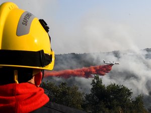 Nouvel incendie dans l'Aude : 120 hectares parcourus en peu de temps, "entre 100 et 150 personnes" évacuées, deux pompiers ont été blessés