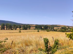 "En Aveyron, les éleveurs sont très inquiets" : le plan d'urgence de la ministre de l'Agriculture pour faire face à la sécheresse, jugé insuffisant par les agriculteurs