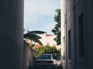 Alcoolisé, il emprunte une ruelle très étroite, tente de reculer et reste bloqué : il finit par s'endormir au volant le pied à fond sur l'accélérateur