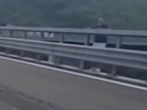 Il séquestre son ex-compagne, la jette du viaduc sous les yeux des secours et envoie par SMS "ta fille est morte" à sa mère : un féminicide brutal secoue l'Italie