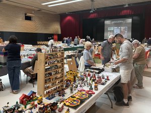 "Le passé n'attire pas" : à Rodez, les collectionneurs du Salon toutes collections cherchent la recette pour ne pas disparaître