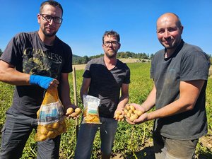 "Elles sont produites en altitude" : des pommes de terre et des chips made in Aubrac, à récolter vous-mêmes
