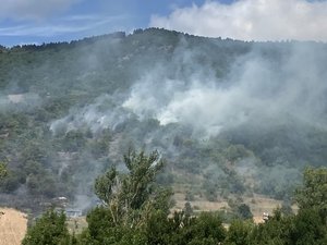CARTES. Risque d'incendie : toute l'Occitanie en vigilance, trois départements en orange face au danger de feux de forêt, ce mardi 15 septembre