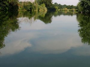 Il plonge avec sa voiture dans la Charente pour mettre fin à ses jours, un jeune homme saute à l'eau et lui sauve la vie