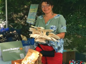 "Nous sommes plusieurs producteurs myciculteurs passionnés" : cette agricultrice cultive des champignons dans le granit !
