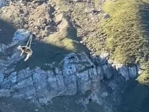 "Oh non mais bébou !" : la vidéo d'une vache héliportée dans les Pyrénées devient virale, et la réaction du couple de randonneurs aussi