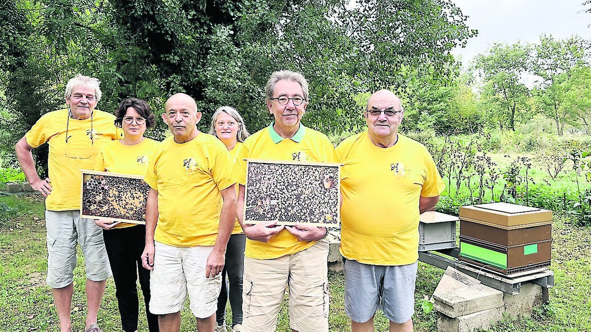 Ateliers, dégustations… le rucher-école de Villefranche-de-Rouergue invite le public à "butiner" avec les abeilles