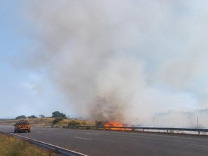 Incendie : l'autoroute A9 fermée à cause des flammes dans l'Aude, 180 pompiers mobilisés dans les Pyrénées-Orientales... La saison des feux n'est pas terminée