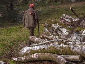 Le chasseur de 74 ans vise une harde de sangliers : sa balle percute une chaise de jardin et se loge dans le mur d'une maison