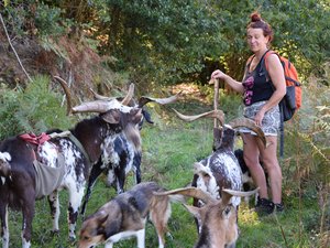 "Ici, ça vaut tout l'or du monde" : les chèvres Rove de Natacha s'épanouissent en toute liberté dans la vallée du Lot