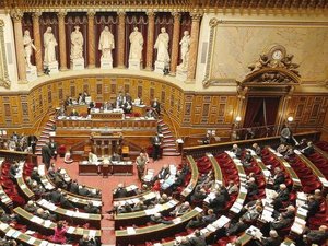 Sénatoriales : à sept mois de la présidentielle, le RN obtiendra-t-il pour la première fois de son histoire un groupe parlementaire à la chambre haute ?