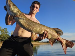 "Le poisson d'une vie !" : une partie de pêche heureuse dans ce lac de l'Aveyron où Grégory Gestraud a capturé un brochet de 1,21 m
