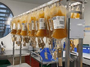 La gourmandise s'invite aux journées du don de sang et de plasma à Rodez : voici les dates en octobre