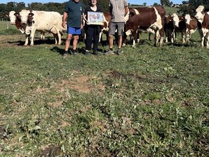 Boussac. Sommet de l'élevage à Cournon : l'excellence génétique, en Aveyron, de l'élevage de la famille Bastide