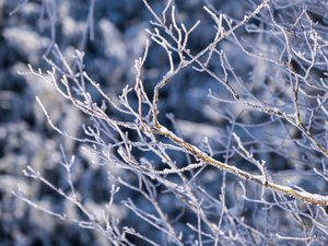 Changement radical de la météo : les premières neiges sont attendues en montagne ce jeudi, les températures seront en baisse partout