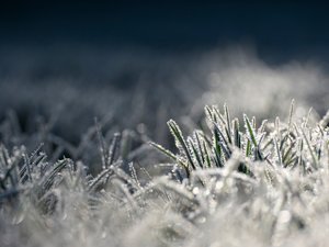 Météo : "Premières gelées de la saison", chute des températures... quels ont été les secteurs les plus touchés en Aveyron, ce vendredi matin ?