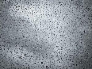 CARTES. Météo : pluies orageuses, rafale de vent jusqu'à 100 km/h, l'automne s'installe ce vendredi, onze départements en vigilance