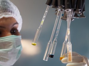 Soupçons de peste en Russie : "Une incertitude majeure demeure", l'OMS toujours en attente d'un "diagnostic confirmé" de la personne décédée