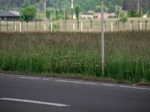 Ils remplacent un panneau 50 par un panneau 70 km/h : le radar placé plus loin mitraille 400 automobilistes en l'espace de quelques jours