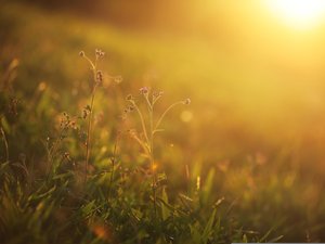 Plus de 25 °C ce jeudi en Aveyron : les prévisions de cette journée d'été en plein mois d'octobre dans le département