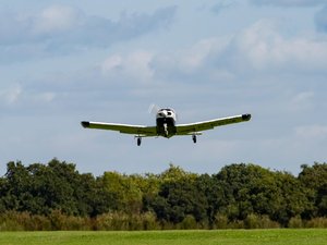 Le pilote s'apprête à atterrir, un chevreuil traverse la piste au même moment, l'avion le percute