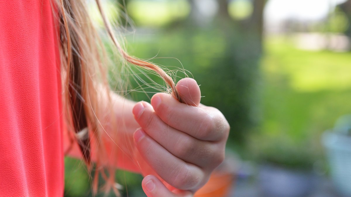How to Effectively Get Rid of Head Lice and Nits