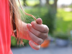 Comme chaque année après la rentrée "les poux sont de retour" : traitements, peignes, vêtements... comment s'en débarrasser une bonne fois pour toutes