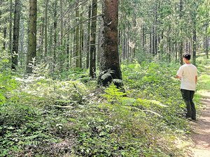 "Elle reste une valeur refuge" : en Aveyron, Fransylva réfléchit sur la forêt de demain avec les propriétaires privés