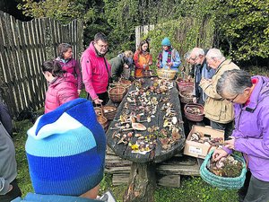 "C'est tardif, on le déplore" : en Aveyron, la saison de la cueillette des champignons se fait attendre