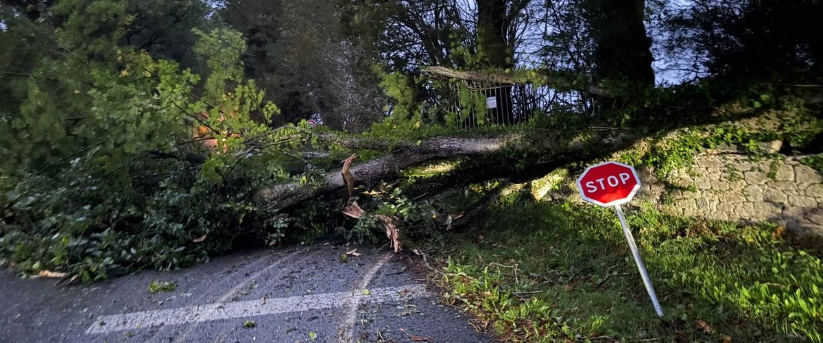 Tempête Austen : plus de 160 000 foyers privés d’électricité, ponts fermés, circulation et transports perturbés… Les rafales de vent sèment le désordre