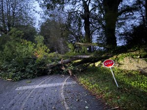Tempête Austen : plus de 160 000 foyers privés d'électricité, ponts fermés, circulation et transports perturbés... Les rafales de vent sèment le désordre