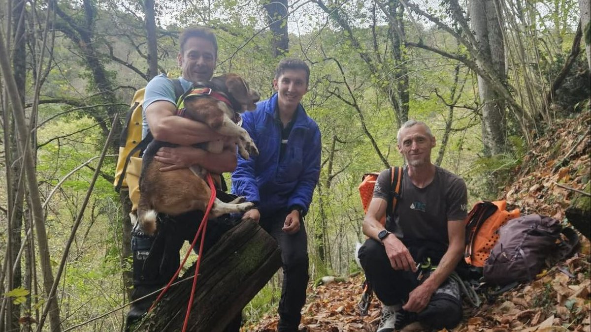 Le chien de chasse était piégé au fond d’un canyon entre deux cascades depuis quatre jours : délicate opération des gendarmes pour une fin heureuse