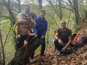 Le chien de chasse était piégé au fond d'un canyon entre deux cascades depuis quatre jours : délicate opération des gendarmes pour une fin heureuse