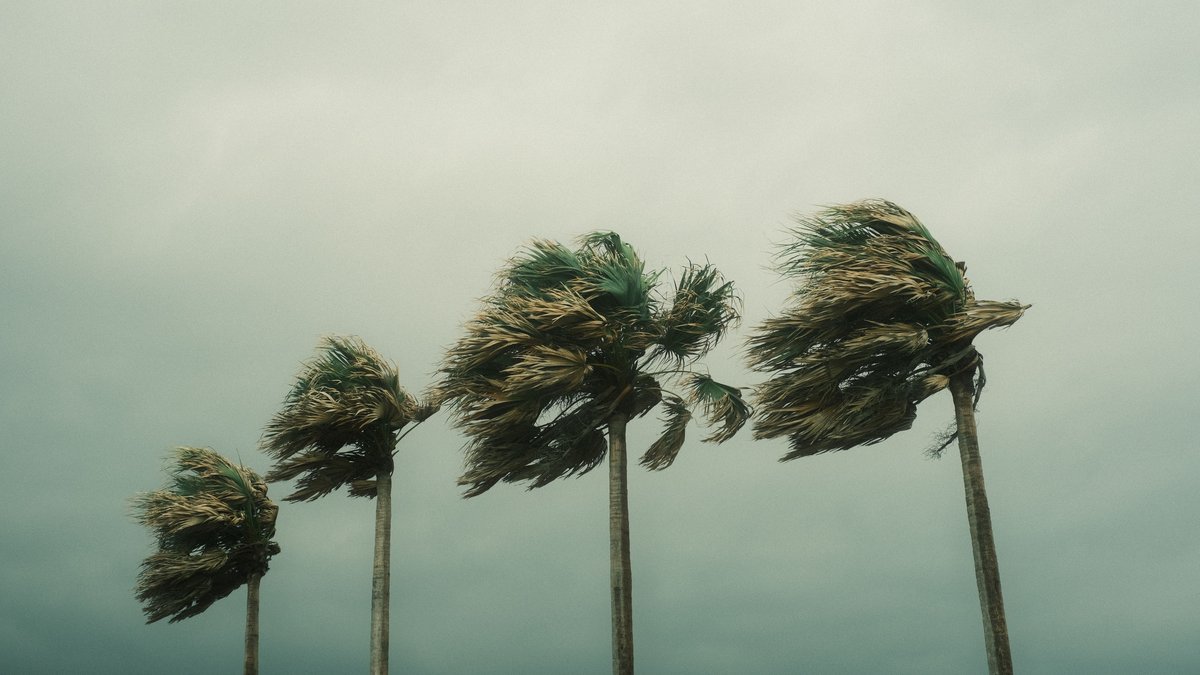 Tempête Austen : des vents jusqu’à 135 km/h enregistrés, voici les communes où les bourrasques sont les plus fortes ce vendredi