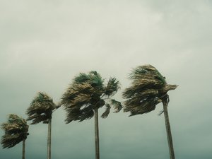 Tempête Austen : des vents jusqu'à 135 km/h enregistrés, voici les communes où les bourrasques sont les plus fortes ce vendredi