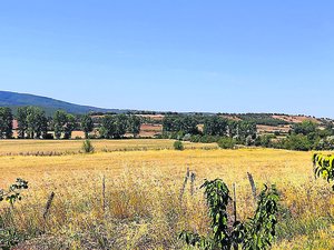 "Ce sont des dispositifs qui sont déjà en place" : en Aveyron, les nouvelles aides à la sécheresse peinent à convaincre les syndicats