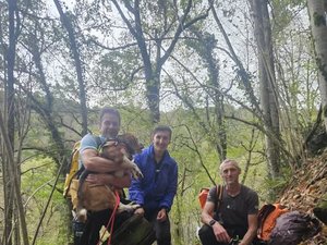 Le chien de chasse passe quatre jours les pattes dans l'eau, coincé entre deux cascades au fond d'un canyon, un mouflage va le sortir de là