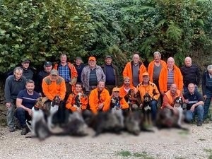 Chasse : six sangliers ont été prélevés aux abords de cette commune de l'Aveyron, dont un de 110 kg